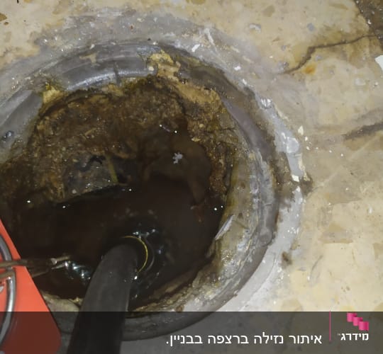 צינור שחור בתוך פתח ניקוז עם מים עומדים